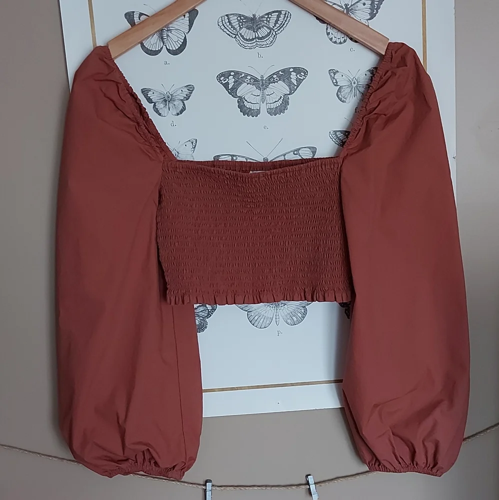 Wilfred Terracotta Crop Top - Picture 3 of 7